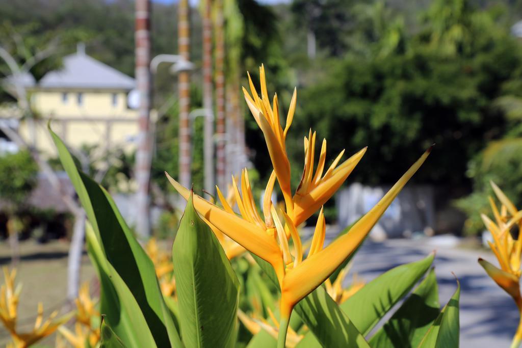 Naka Resort Камала Экстерьер фото